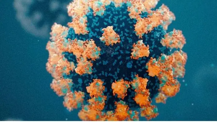 Los anticuerpos de un paciente recuperado del SARS inhiben el nuevo coronavirus