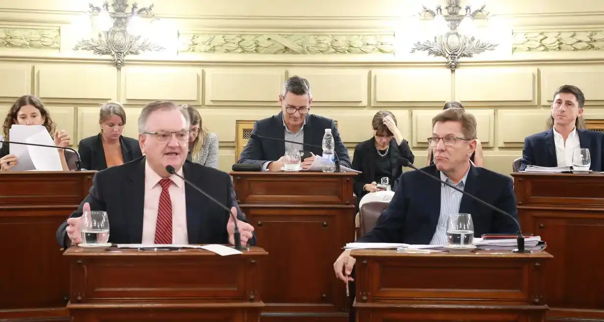 Senadores Felipe Michlig y Rodrigo Borla.