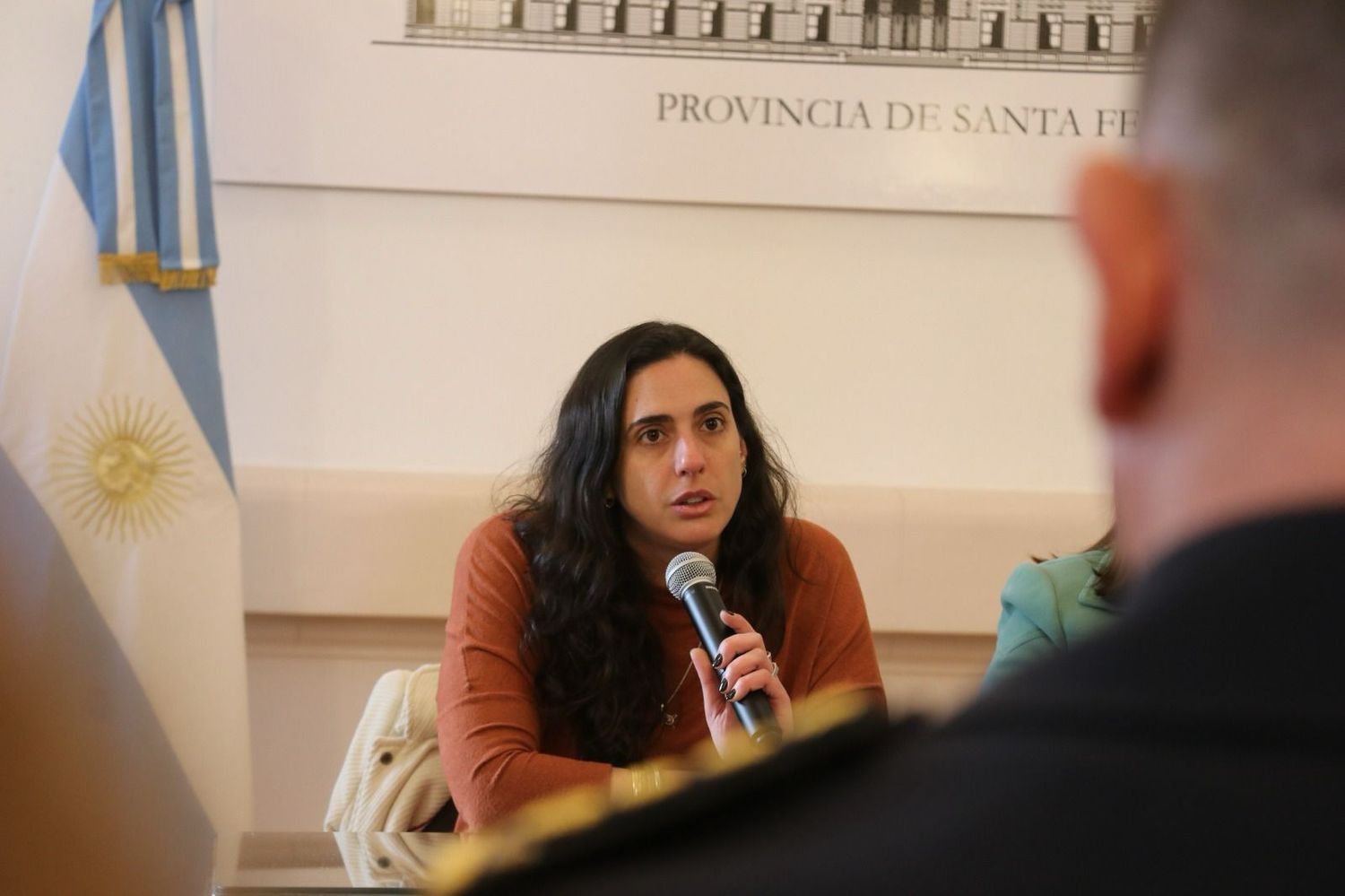 Lucía Masneri, secretaria de Asuntos Penales.