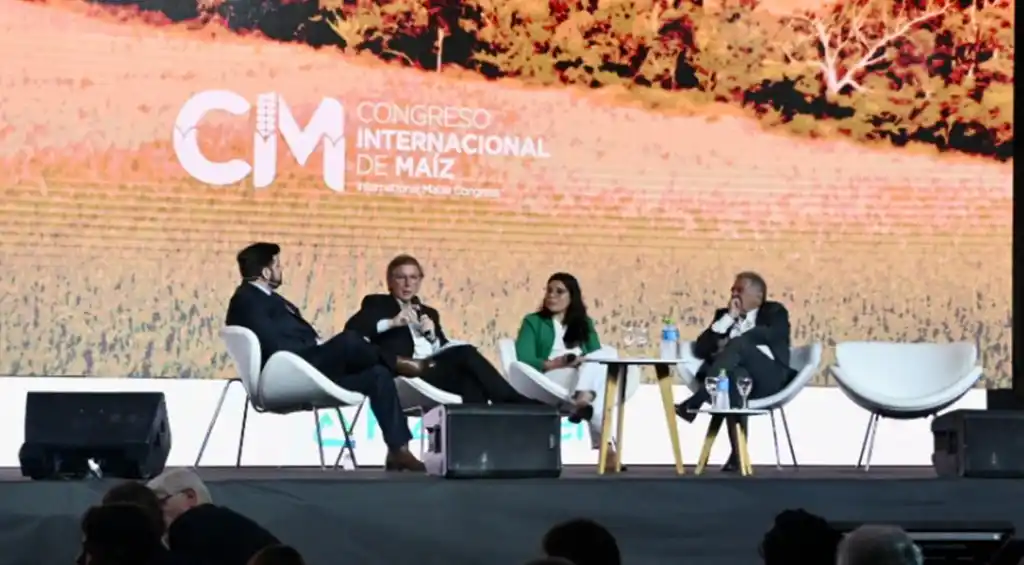 “Hay que repensar el esquema de retenciones”, Bahillo le habló a los productores de maíz