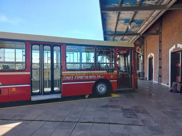 La línea de micros que une Chascomús y Ranchos hace nueve meses que no cobra el subsidio del  transporte público
