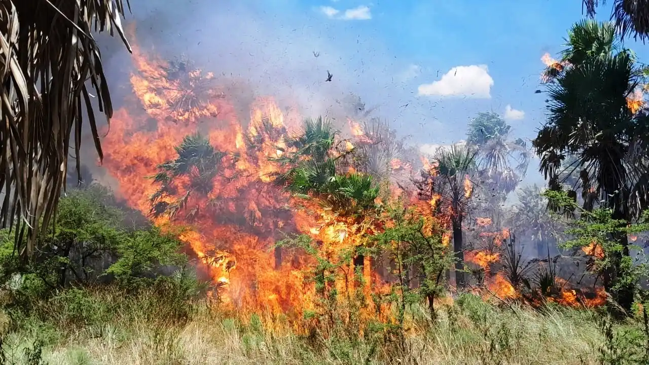 La Policía de la provincia de Formosa trabaja para evitar la quema de pastizales o campos