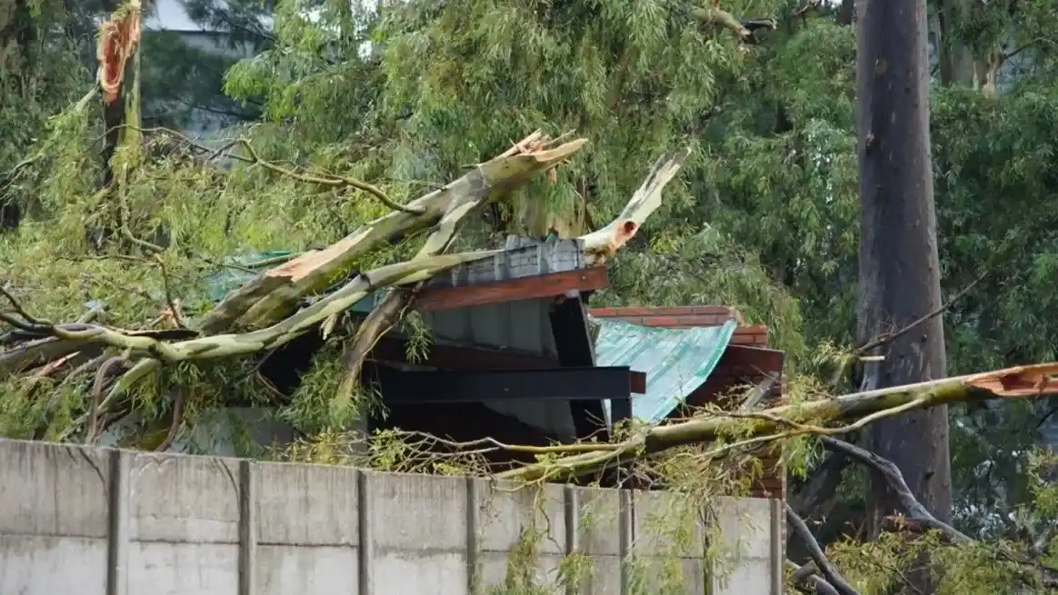 Tragedia en Bombal: confirman una víctima fatal tras el tornado y avanza la asistencia