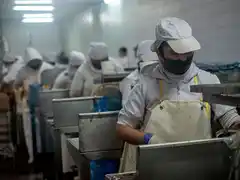 Cerró una importante conservera de Mar del Plata y despidió a unos 40 trabajadores