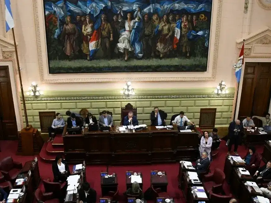 La Convención Reformadora estableció líneas directrices de lo que será la futura norma electoral en Santa Fe.