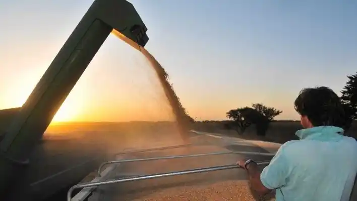 El Gobierno prevé cosecha récord de 140 millones de toneladas