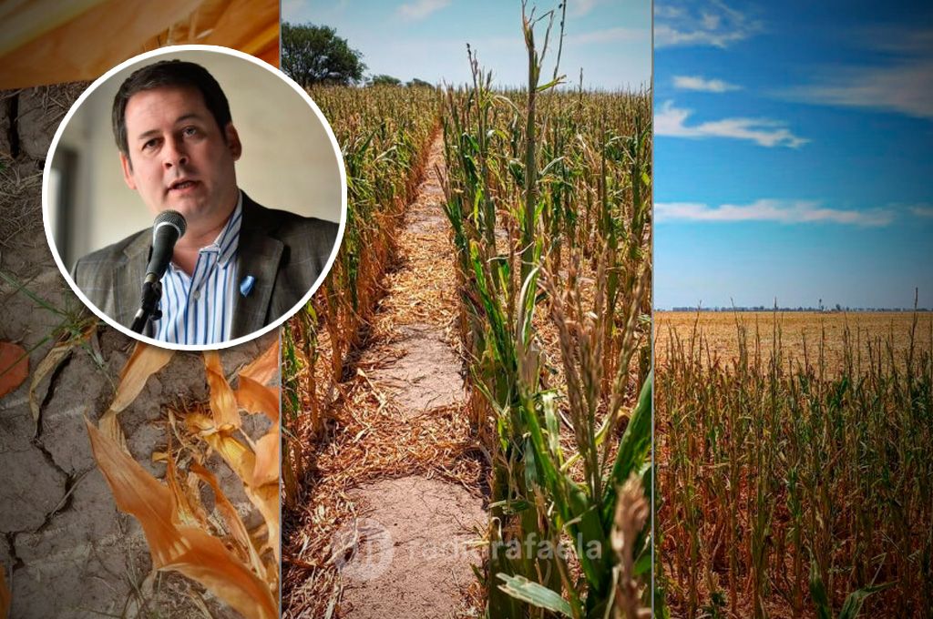 Buscan sumar al departamento Castellanos bajo Emergencia Agropecuaria