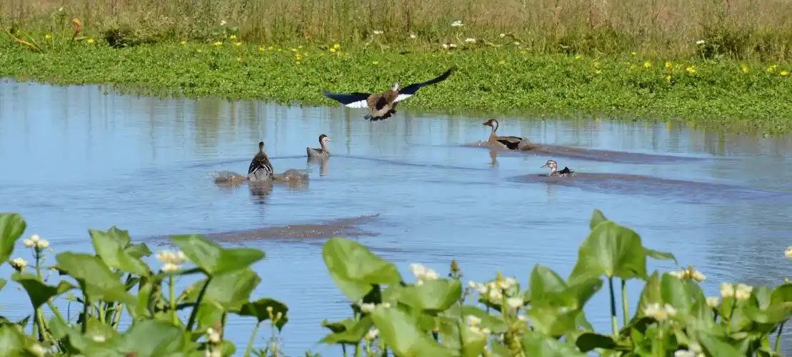 reserva natural san antonio de areco