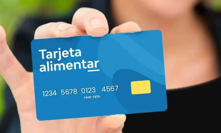 El Gobierno desembolsará otros $ 30 mil millones en la Tarjeta Alimentar hasta fin de año