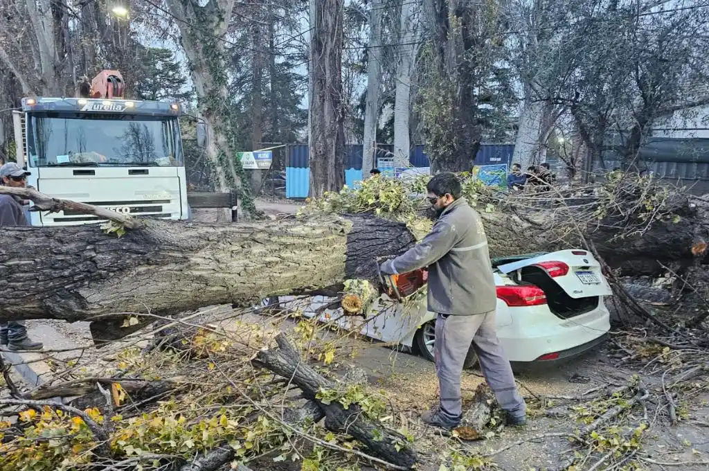 Servicios de emergencia trabajan a destajo para socorrer a víctimas y despejar vías de tránsito