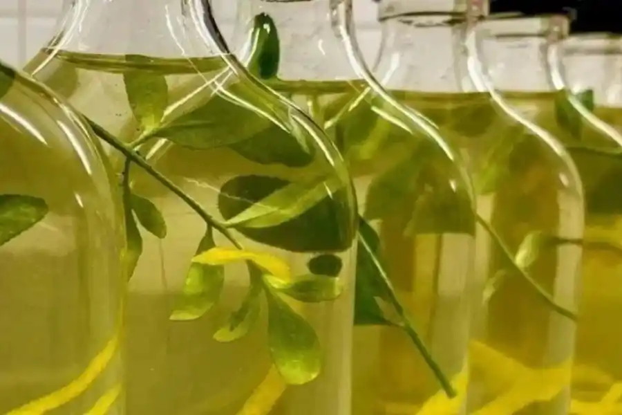 Caña con ruda: por qué se toma el 1° de agosto y cómo prepararla para atraer salud