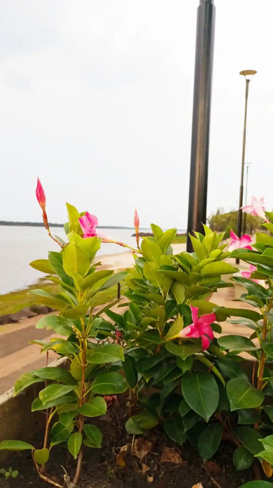 Lo que se ve en la ciudad