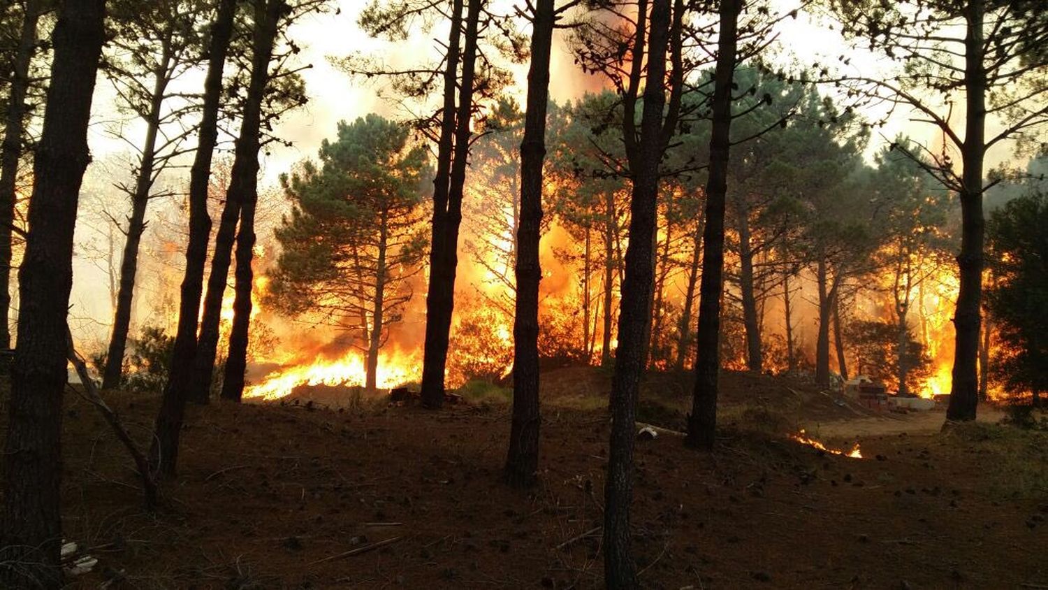 Incendio en una reserva de Valeria del Mar