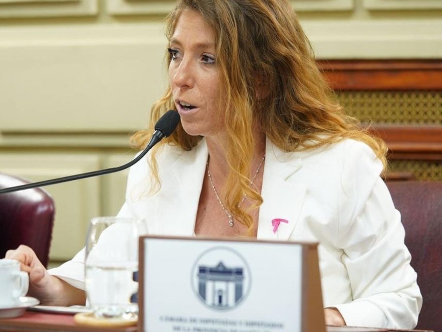 Sofía Galnares, diputada provincial (UCR-Unidos para Cambiar Santa Fe)