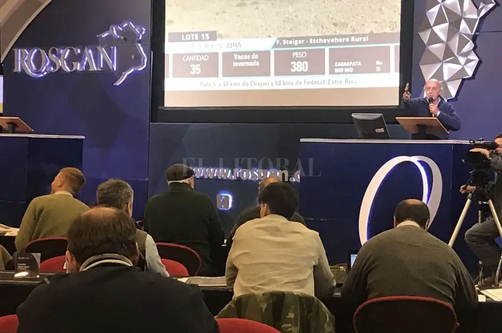 Remate aniversario de Rosgan: “la estrella sigue siendo la vaca de invernada”