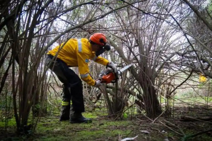 Continúan las acciones para prevenir incendios en las islas del sur provincial