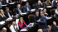 La oposición rechazará los vetos a las leyes del Garrahan y Universidades