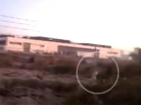 Aseguran que vieron un fantasma en Cañuelas