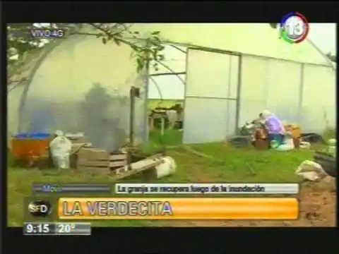 “La Verdecita” se recupera luego de las inundaciones