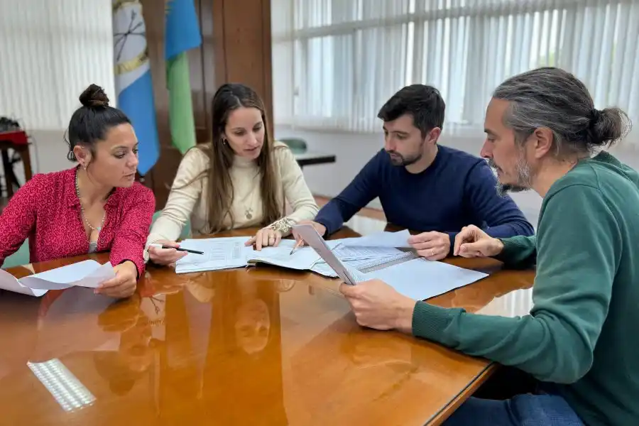 Caruso, Senn, Racca y Soltermam presentaron un resumen del informe que cuenta con más de 70 páginas