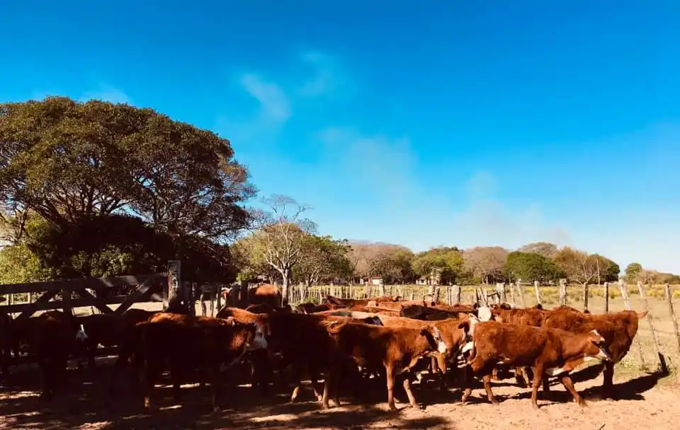 El paro del campo se extenderá hasta el miércoles
