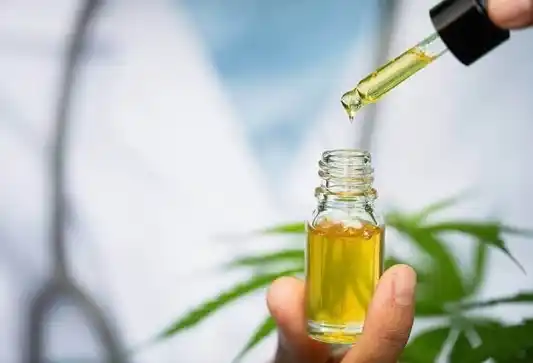 Convocan a una Red Intersectorial del Cannabis