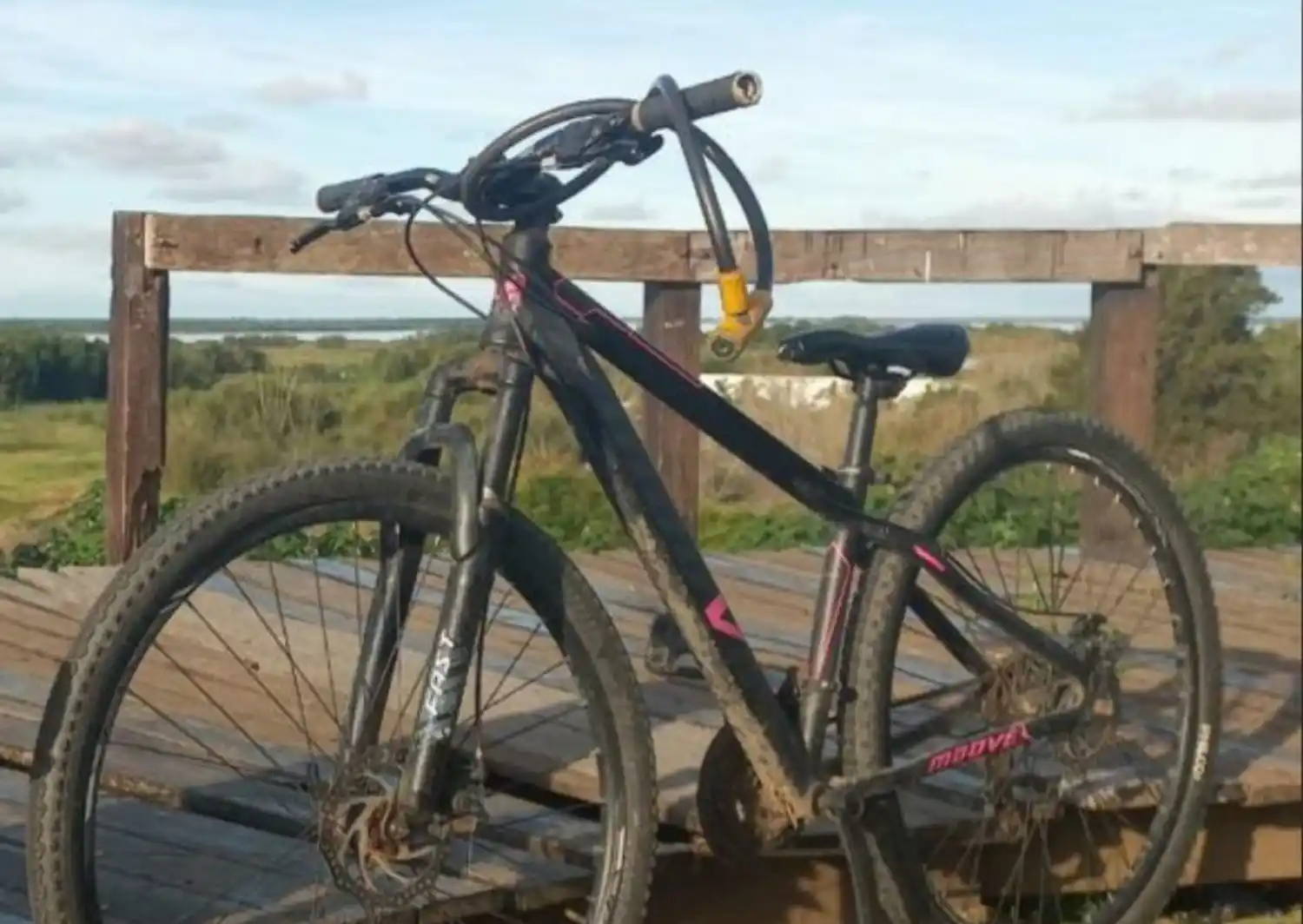 La bicicleta robada es de estilo mountain bike.