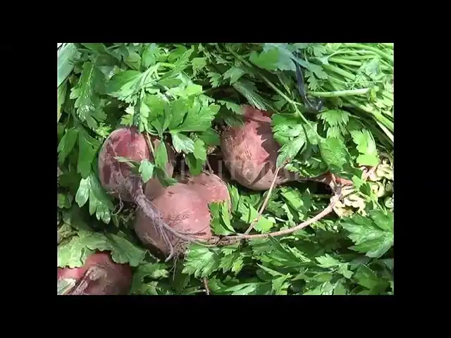 Como protesta, vendieron verduras al costo en la Plaza del Soldado