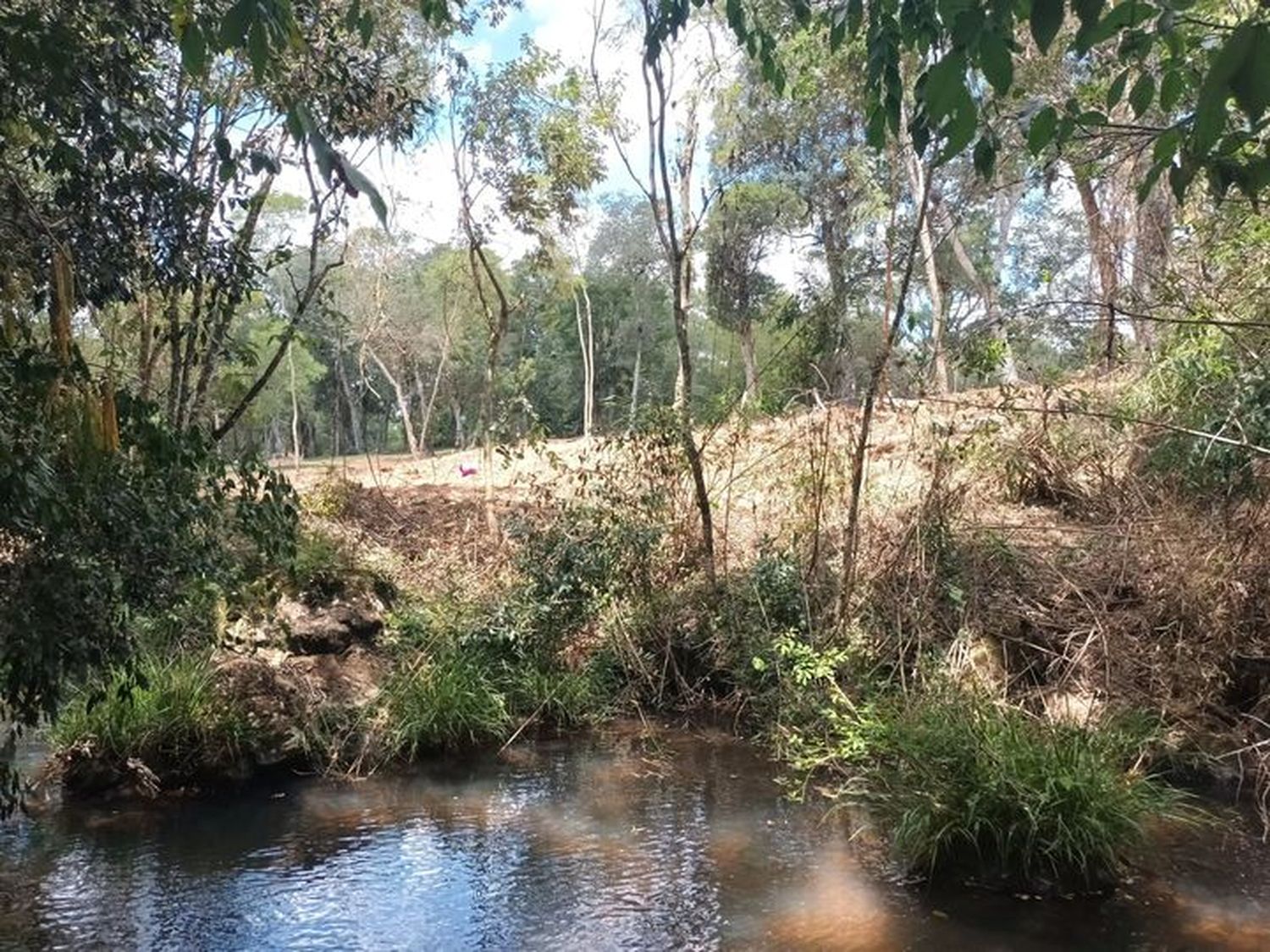 A.Del Valle: desmonte destruyó fajas ecológicas en un tramo del A° Alegre