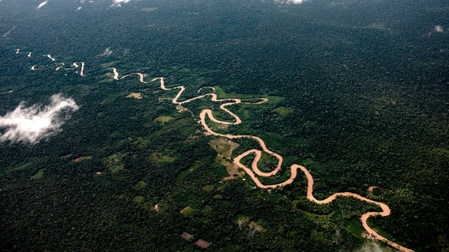 Multaron a una minera por provocar la mortandad de peces en la Amazonía