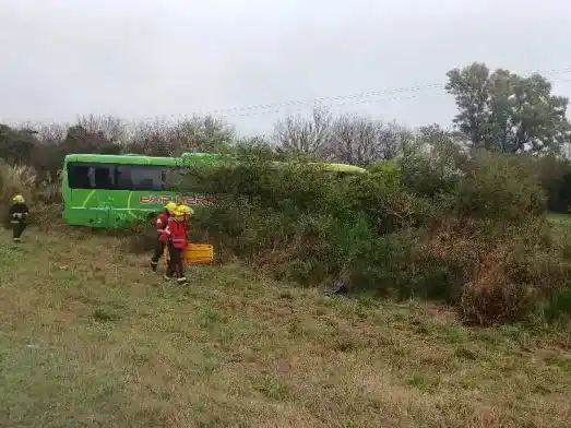 Ruta 12: un camión perdió una rueda y un colectivo despistó en El Palenque