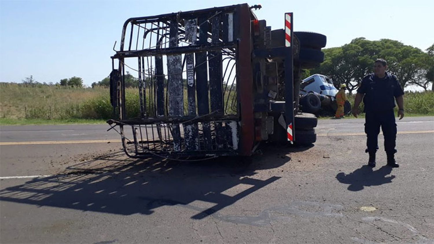 Un camión que transportaba caballos se quedó sin frenos y volcó en la ruta