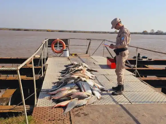 Realizan un balance en materia de preservación de recursos naturales y fiscalización