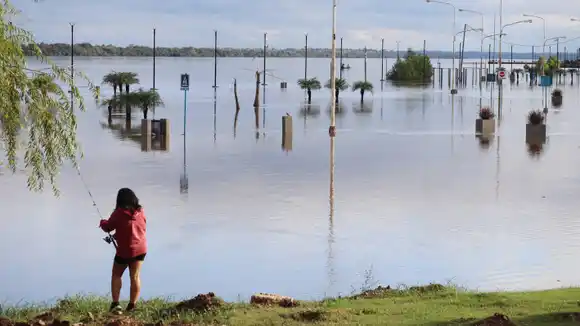 El río Uruguay frente al puerto local llegará hoy a los 10,30 metros