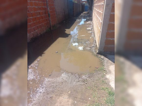 Vecinos de la calle Brenan: "Es inhumano vivir así"