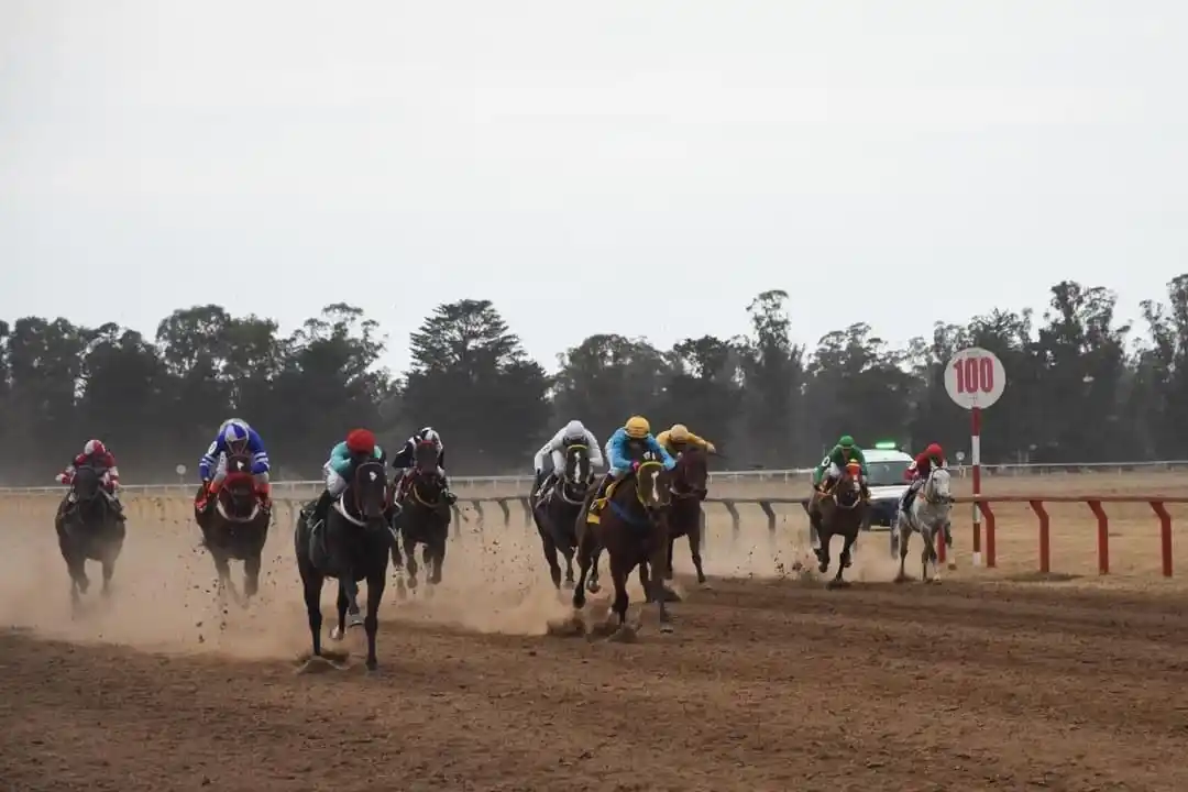 Turf. La séptima fecha tuvo su carrera en Tandil