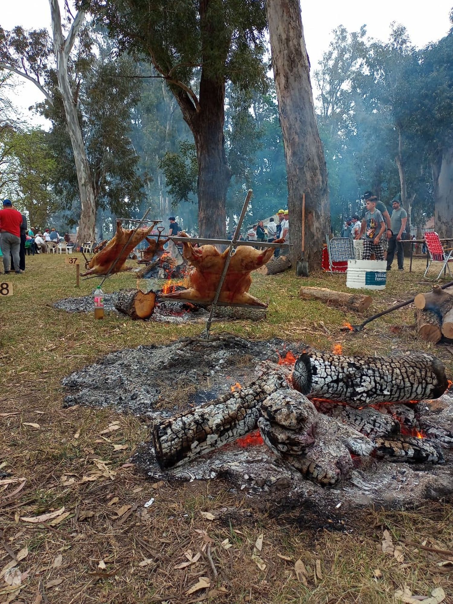 Llega la 6ª edición de la Fiesta del Asado a la Estaca a Venado Tuerto