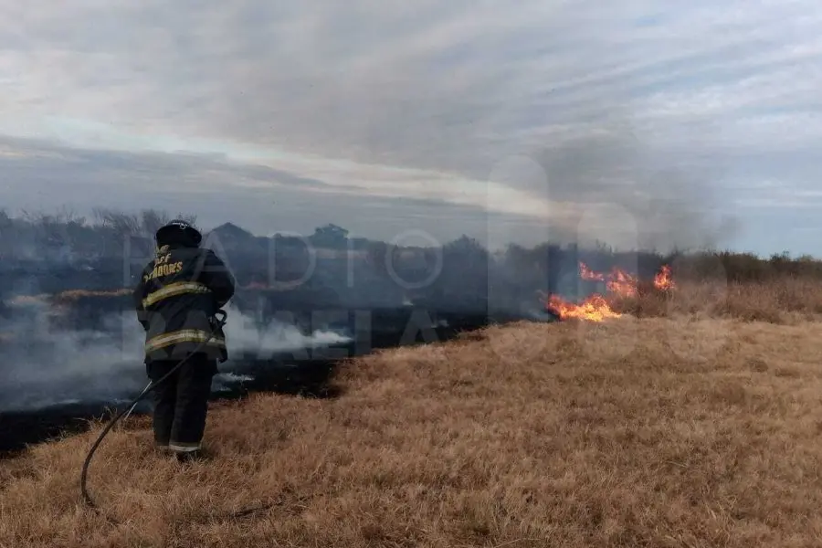 Detuvieron a un grupo de personas por los incendios en la zona de las islas