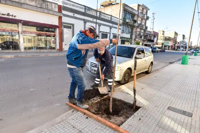 Plantarán catalpas en Libres del Sur en el Día Nacional del Árbol