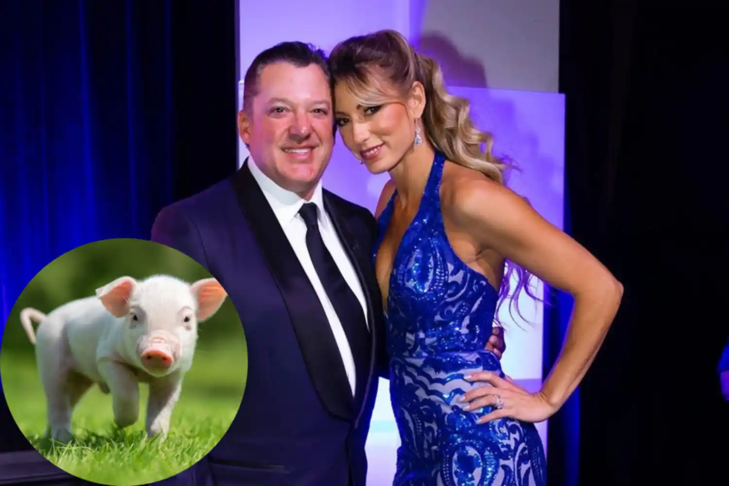 Tony Stewart, en problemas con su esposa por dormir con su cerdo