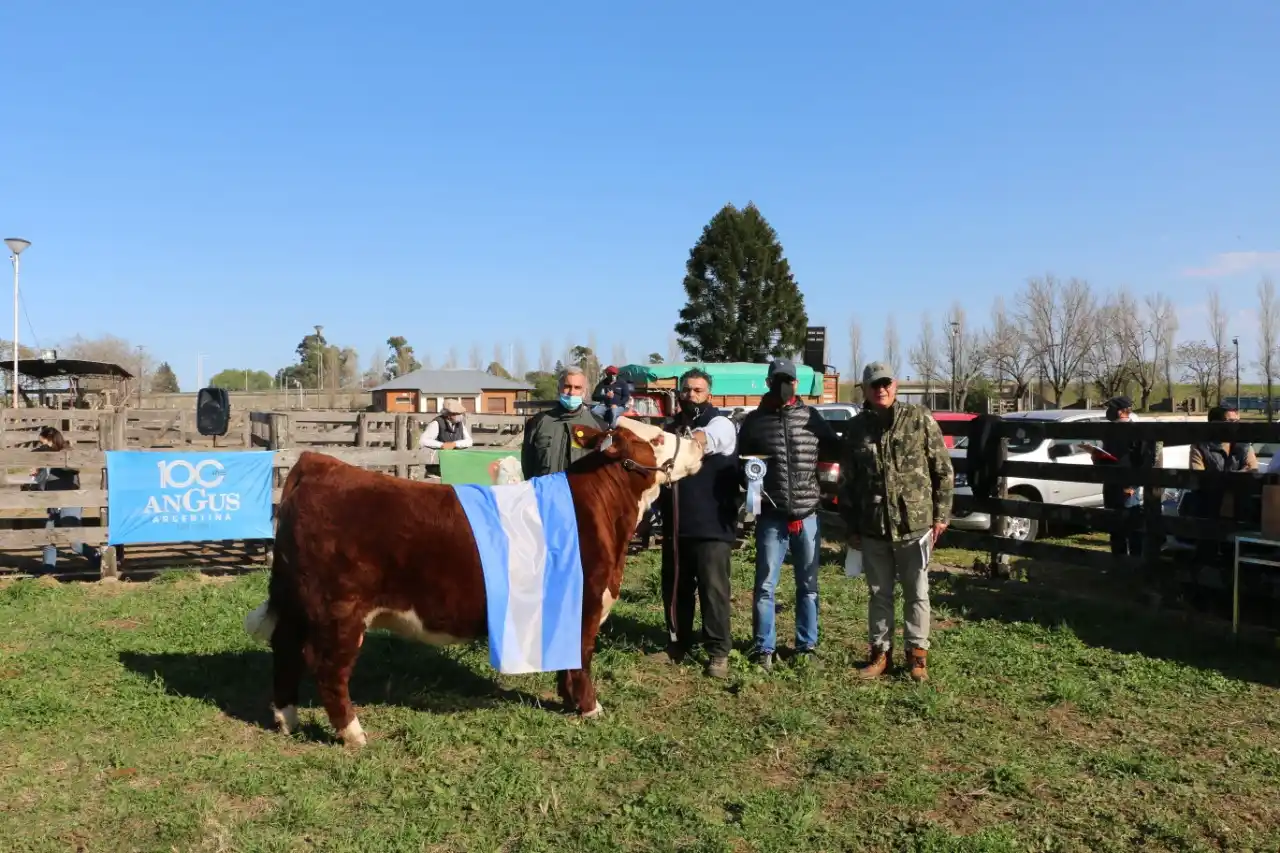Con las ventas en bovinos y ovinos culminaron los remates especiales