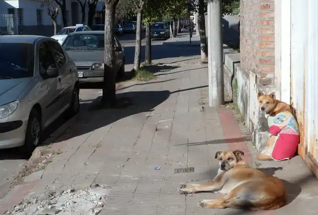 Por la vereda del sol para pasar el frío