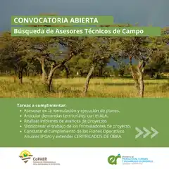 Bosque Nativo: Convocan a profesionales para integrar un equipo técnico