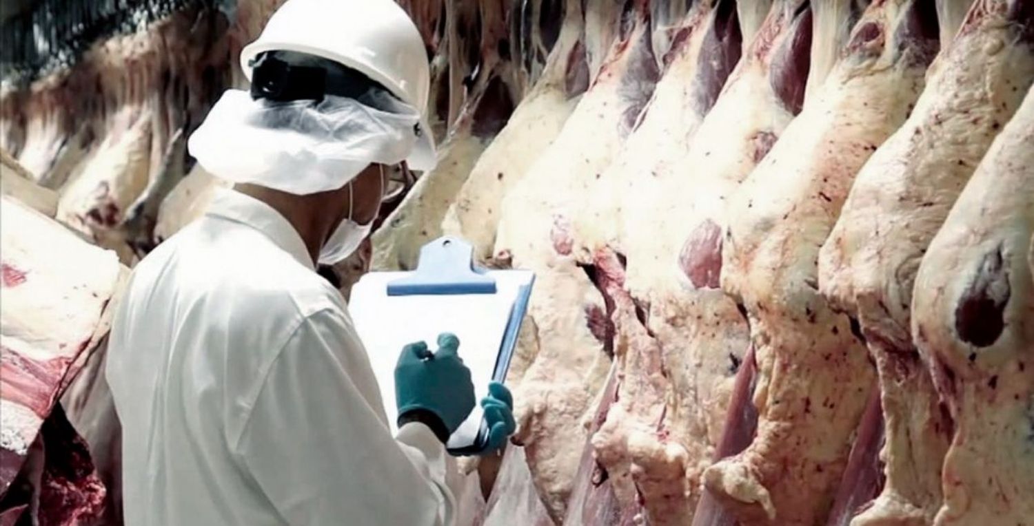 Coninagro: es un “gran paso” la liberación de exportaciones de carne