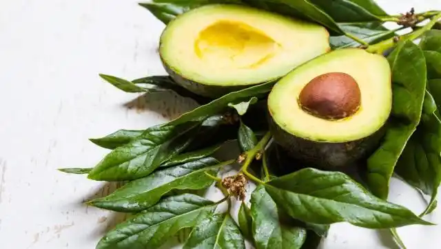 Trucos y recetas para preparar la palta