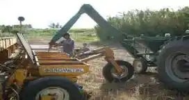 La siembra argentina de soja caería hasta un 3%