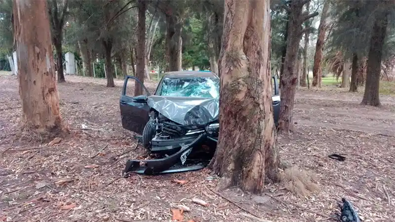 Destrozó su auto al chocarlo contra un árbol