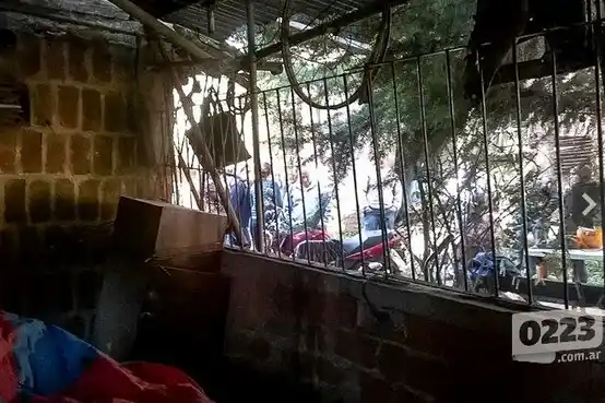Horror en Mar del Plata: Un hombre encerraba en una jaula a su esposa e hijo 