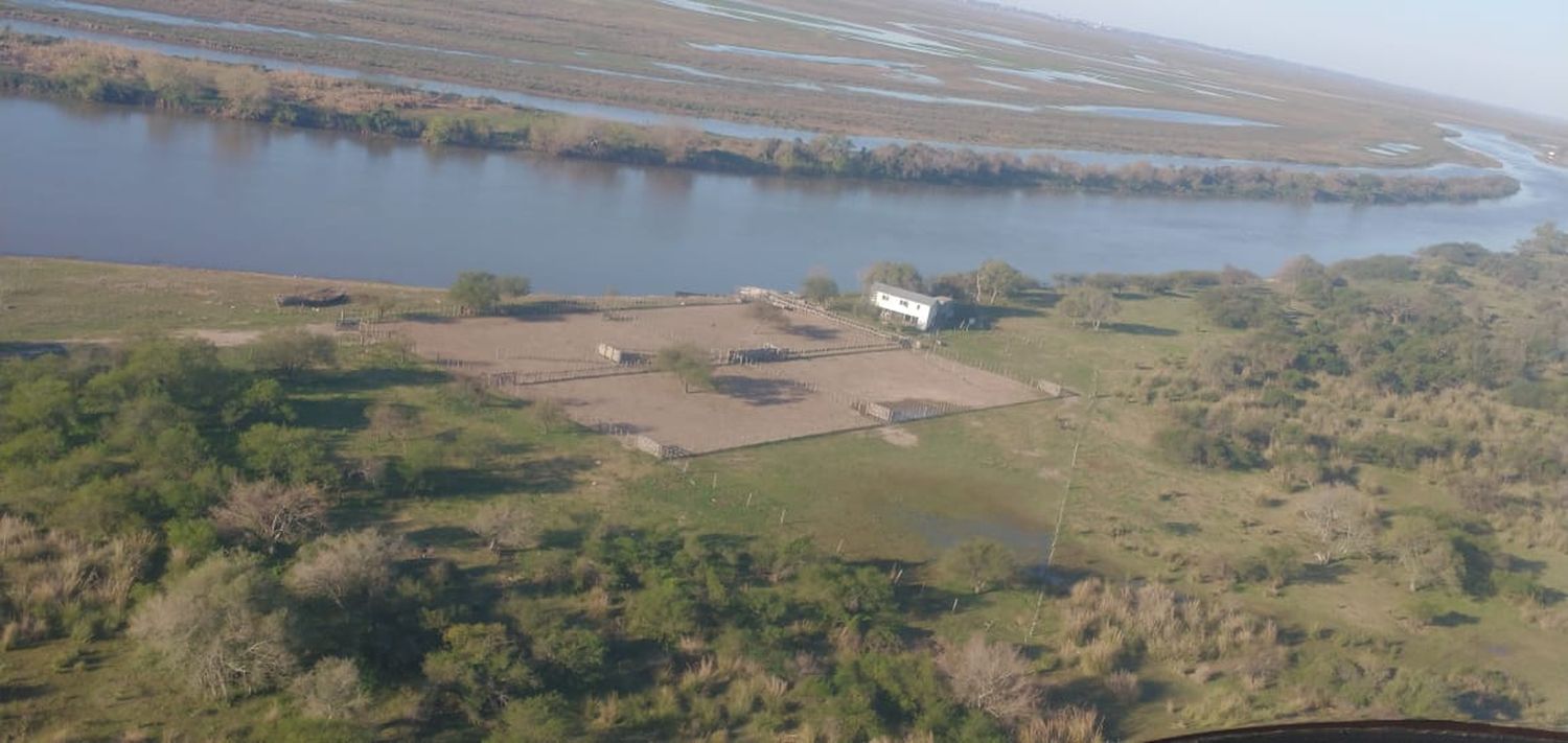 Detienen a tres personas realizando quemas sin autorización en islas del Delta