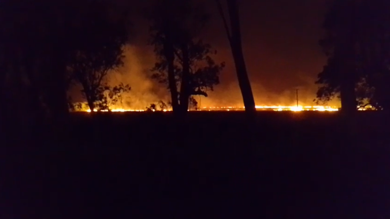 Un incendio afectó un campo de trigo sobre la Ruta 70 en zona rural de Roca